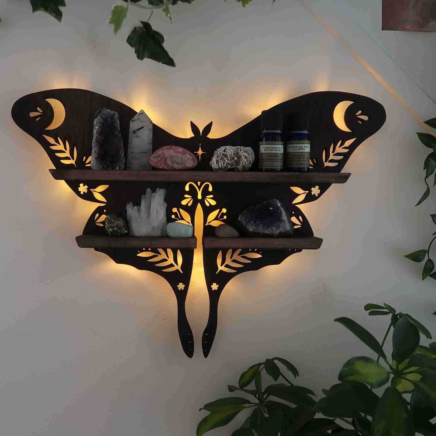 Enchanted Butterfly Shelf